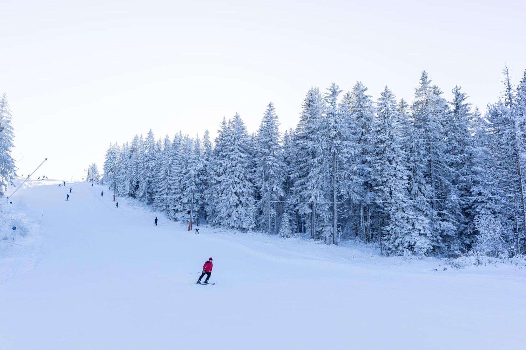 Planinske Vile M&S Kopaonik Eksteriør bilde